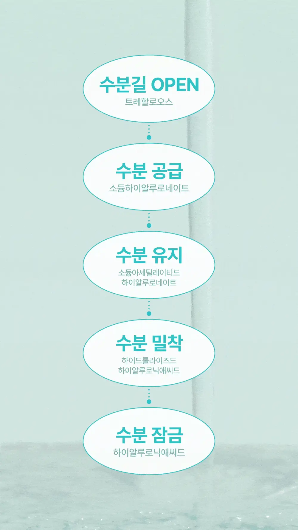 [수분진정] 넘버즈인 1번 판토텐산 액티브업 수딩세럼 50ml 리필기획 (50ml+50ml) 상세페이지 12
